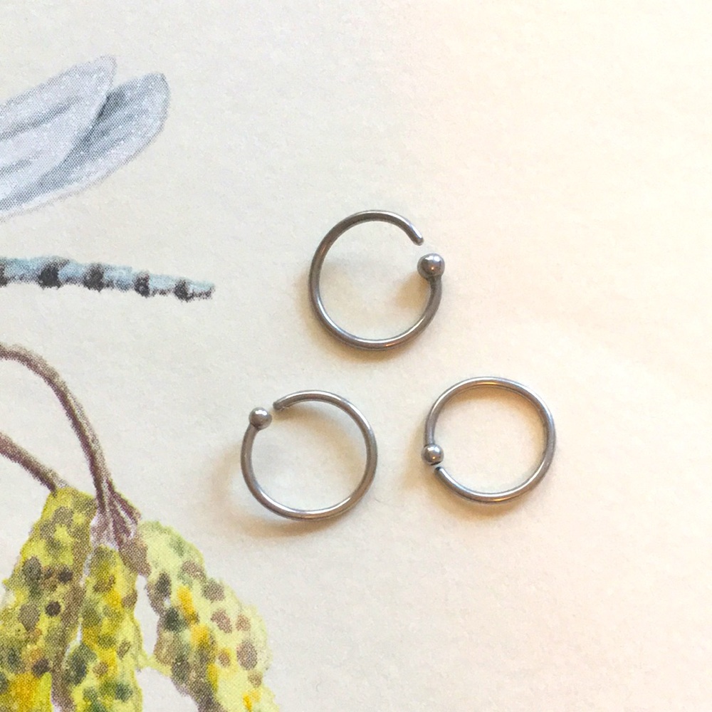 Three Titanium Earrings